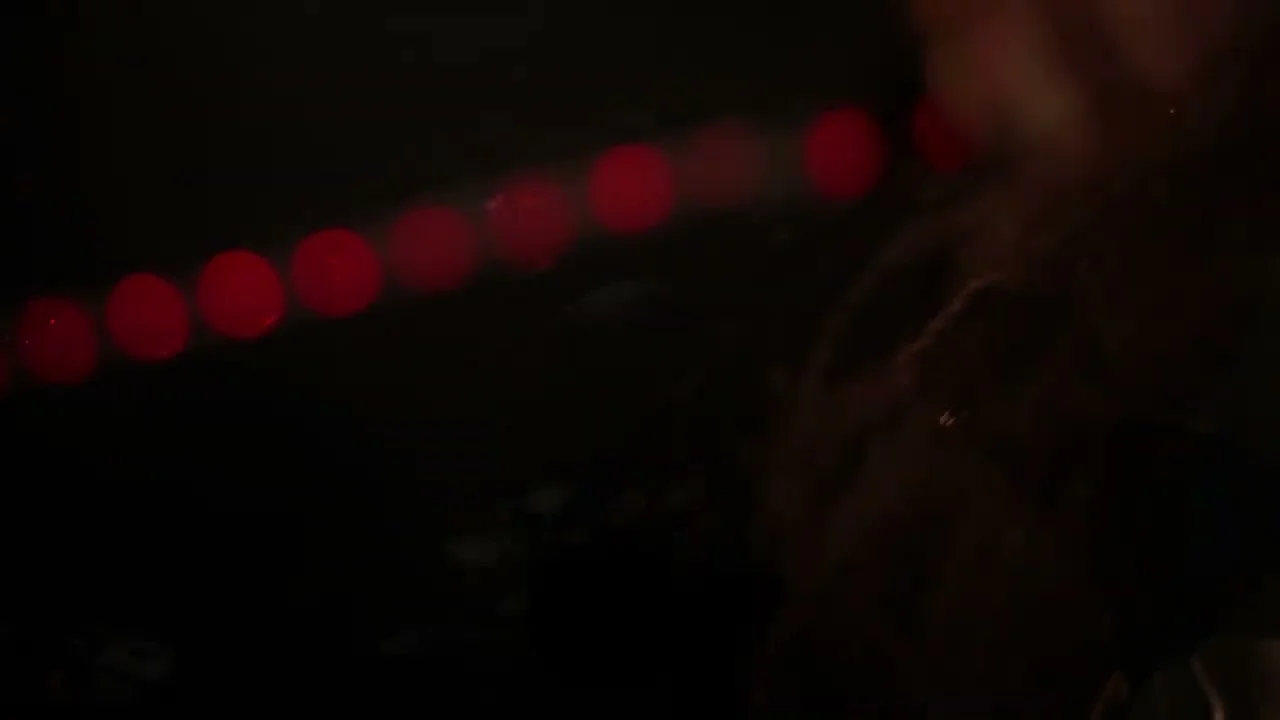 corto.alto - Tuesday (66) [Visualiser]